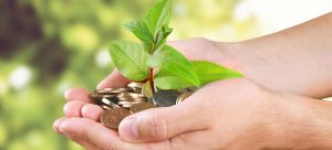Hands holding a small plant with green leaves growing from a pile of coins, symbolizing investment and growth, against a blurred green background.