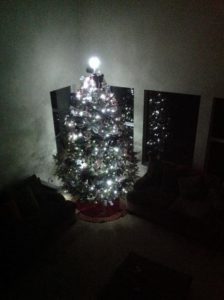 A large, illuminated Christmas tree decorated with white lights and ornaments stands in a dimly lit room. The tree is positioned near a set of windows, and its lights reflect on the glass. A couch is partially visible nearby.