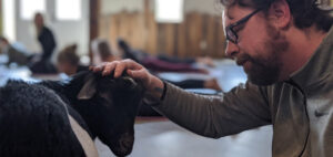 A man with glasses gently pets a goat indoors during a group yoga session. People are practicing yoga in the blurred background.