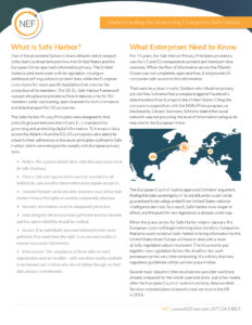 Informational flyer about Safe Harbor and its changes. It details the importance of data protection for businesses between the US and the EU, the Safe Harbor Privacy Principles, and the new regulatory requirements. Includes a header and contact info.