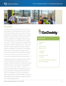 A page titled "Summary" from a GoDaddy document by TotalRewards Software. It highlights GoDaddy's role in the Internet domain industry, employee engagement, and various stats like 5,000 employees and 14 million customers, with GoDaddy's logo featured.